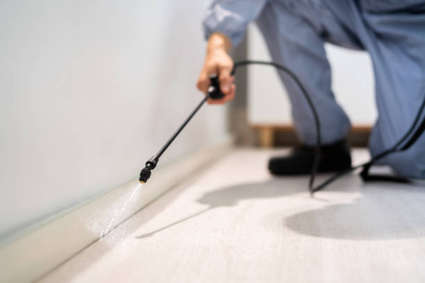 Licensed Rodent Control service in Washington County County, WI - Nex Pest Control
